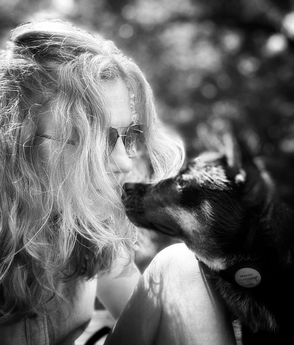 When a rescue dog adopts a&nbsp;meditator