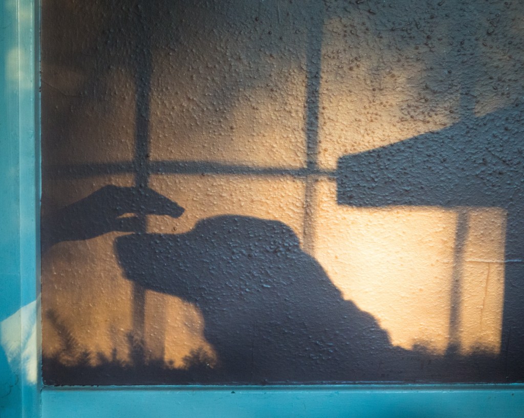 An invisible human with an invisible&nbsp;dog