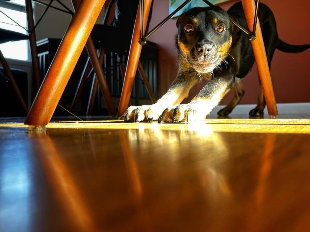 The invitation of downdog: finding the strength to&nbsp;rest